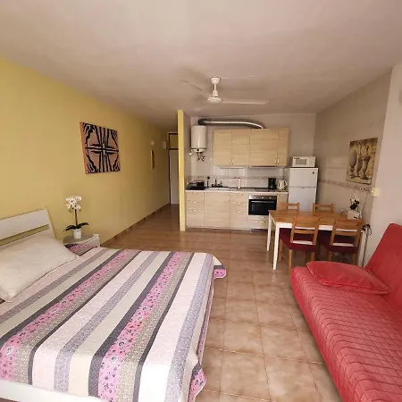 With Garden Apartment Arona (Tenerife)