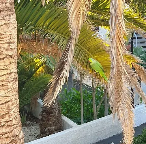 With Garden * ארונה