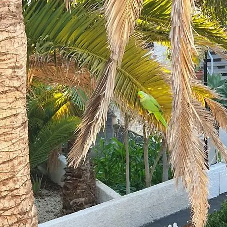 With Garden * アロナ